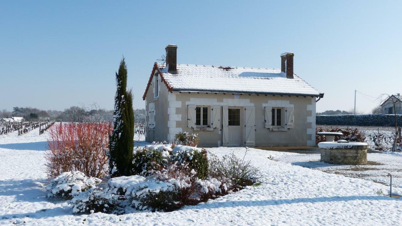 L'Ecrin Au Coeur Des Vignes Villa Сан-Жорж-сюр-Шер Екстериор снимка