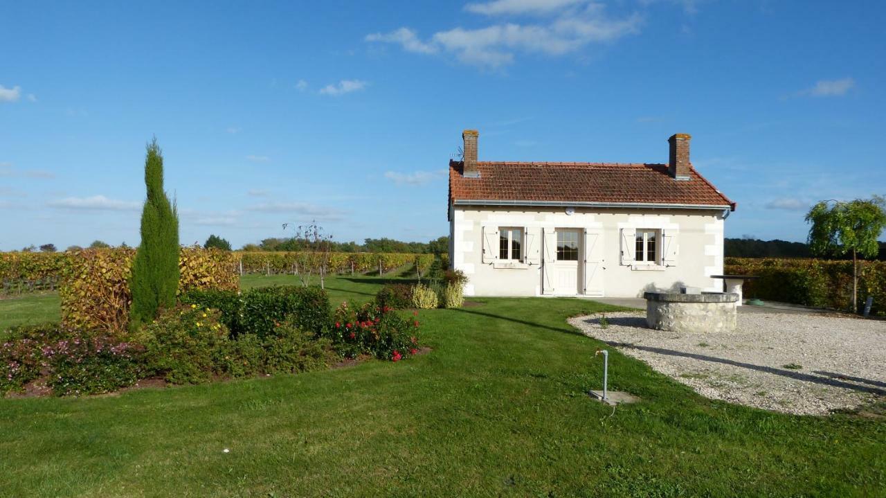 L'Ecrin Au Coeur Des Vignes Villa Сан-Жорж-сюр-Шер Екстериор снимка